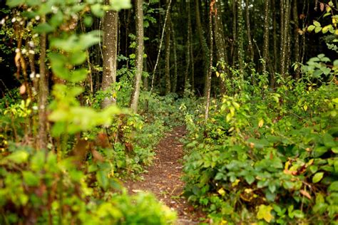 mägenwiler wald|Schwulentreffpunkt